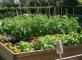 Le Jardin de la Résidence Médicis Les Jardins Médicis Fontenay-Trésigny
